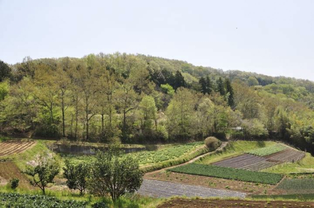 里山風景