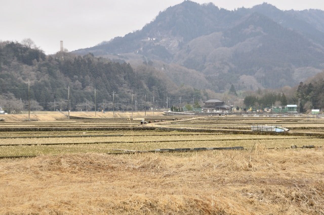 里山風景