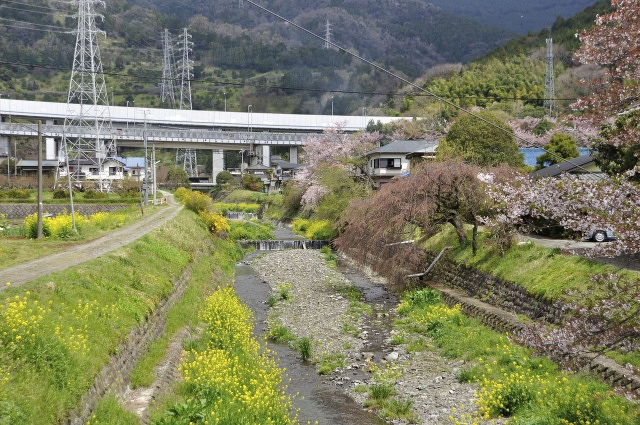 東名高速