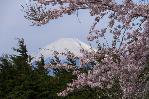 菜の花台の風景 - 1